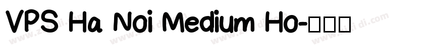 VPS Ha Noi Medium Ho字体转换